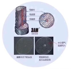 点击看大图 -3AM HAIR SALON烫发染发接发