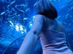 -海合安成都极地海洋公园