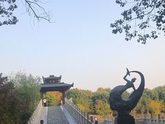 -东湖落雁景区