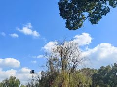 -东钱湖小普陀景区