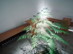 -光作面包Voila Lumiere(中山店)