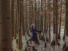 -桤木河湿地公园