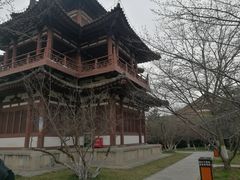 -西安青龙寺遗址景区