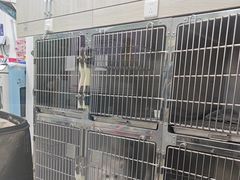 -芭比堂动物医院(广州爱宠下渡路分院)