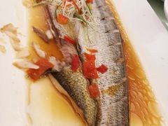 -白金汉爵大酒店·中餐厅(相城店)