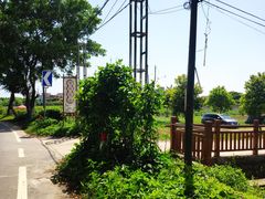 -米岗农庄