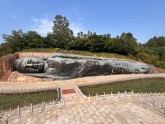 -三水森林公园