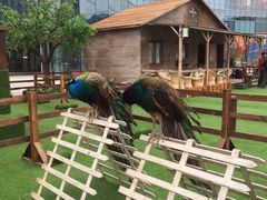 -大族广场Mall&More