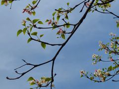 -舒家湾天主教堂