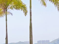 -华侨公园