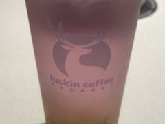 -瑞幸咖啡(巴黎春天陕西路店)