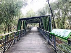 -西湖风景区-江洋畈生态公园