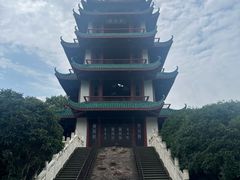 -桂湖森林公园