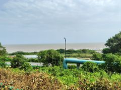 -平湖九龙山旅游度假区