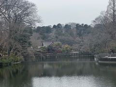 -井之头恩赐公园