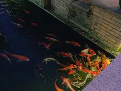 -顺德了能馆(虎门店)