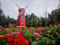 -林栖谷森林康养度假区