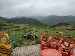 景点-泽雅景区