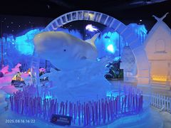 -海合安成都极地海洋公园