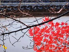 -胡雪岩故居