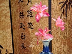 -卫鼎轩·家宴(水上公园店)