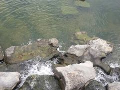 -那考河湿地公园