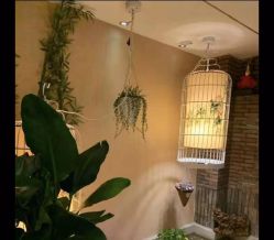 -威思丽高温瑜伽会馆