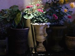 -留香花园(淮海街商业街店)