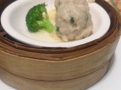 -有心德(麦地店)