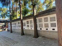 -总统兵马大元帅府