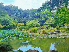 -杭州植物园