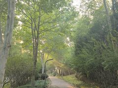 -滨湖塘西河公园