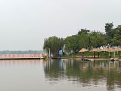 -金沙湖旅游度假区