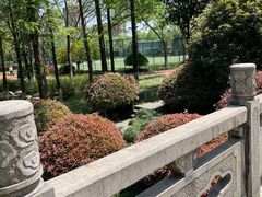 -杭州城北体育公园