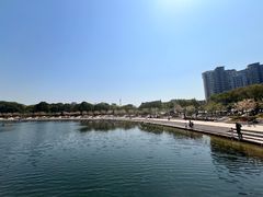 -新江湾城公园