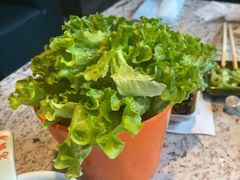 -高丽屋(天宁寺店)