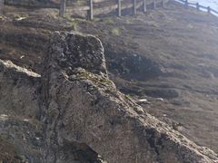 -武夷山风景名胜区-虎啸岩