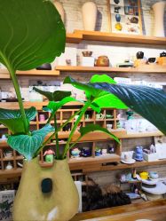 -今日陶艺(富力广场店)