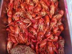 -二钳洞庭虾蟹·江湖菜(鹭岛店)