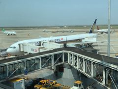 -新加坡航空公司(ION)