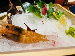 -月龍吟(朝龙汇店)