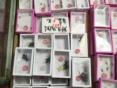 -万商花鸟市场