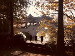 -台儿庄古城