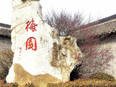 -梅园