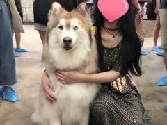 -TrueLove @ Neverland (Husky Cafe)