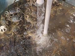 -仙螺岛海鲜自助餐厅(总店)