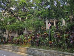 -香港大学