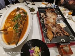 开河鲤鱼-九十九顶毡房(阜石路店)