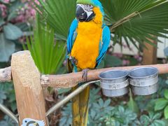 -南宫五洲植物乐园