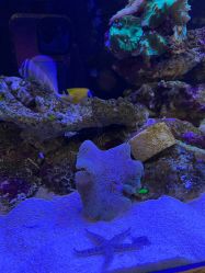 -Zoolung Zoolung动物主题公园(海信广场店)